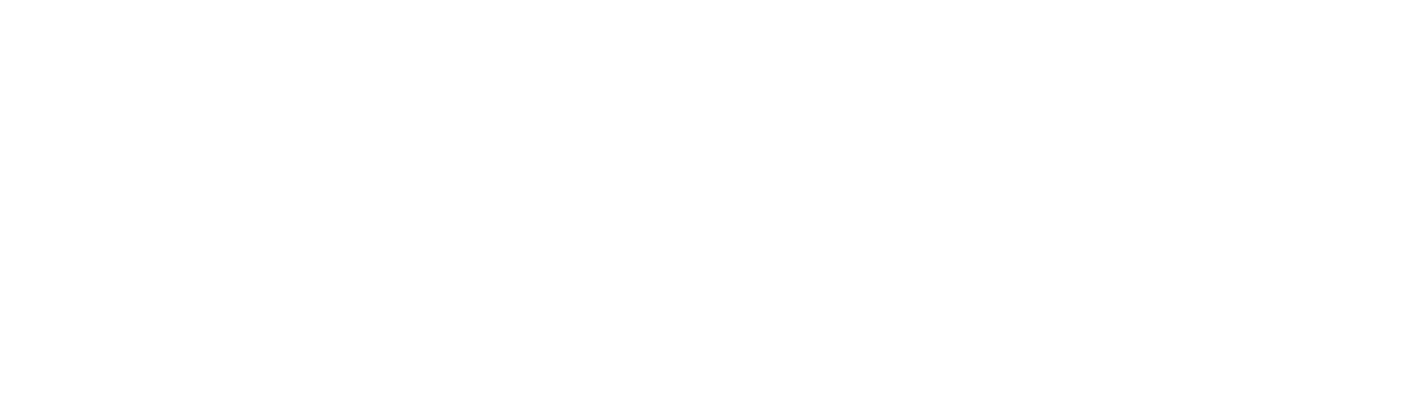 TRUCK AVIA MOTORS Konice